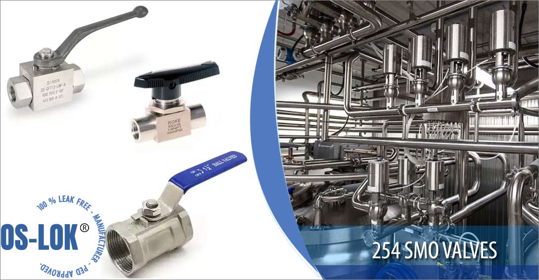 254 SMO Valves