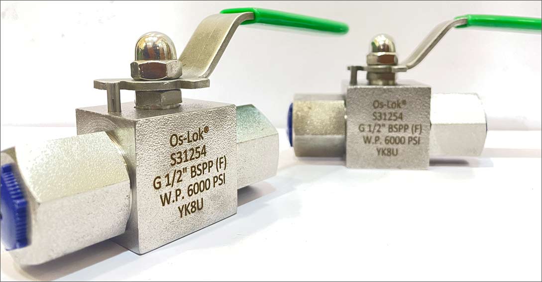 254 SMO Valves