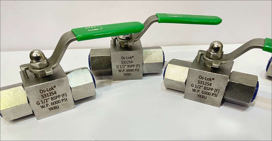 254 SMO Valves