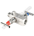 SS304/ 316L 2 Way Manifold Valves,R2,Type 1