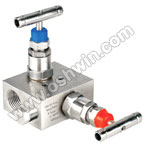 Stainless Steel 2 Way Manifold Valves,R2,Type2