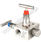 Stainless Steel 316 2 Way Manifold Valves,R2,Type 5 
