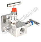 CF8M Stainless Steel 2 Way Manifold Valves,R2,Type 7