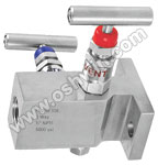 CF8 Stainless Steel 2 Way Manifold Valves,T2,Type 8 Direct Mounting