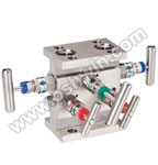 SS304/ 316L MANIFOLD (FLANGE MOUNTING)