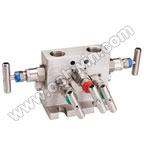 SS304/ 316L MANIFOLD (FLANGE MOUNTING)