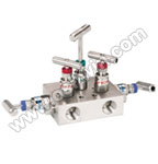 A351 CF8M 316 Manifold Valves