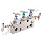 SS304/ 316L Manifold Valves