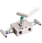 A351 CF8 304 Manifold Valves