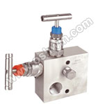 SS 304 Manifold Valves