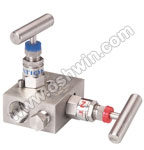 A351 CF8 304 Manifold Valves