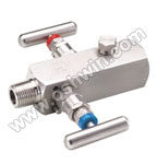 SS304/ 316L Manifold Valves