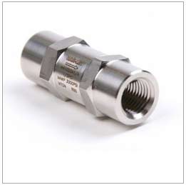 Stainless Steel 304 Double Non Return Valve