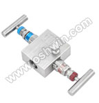 CF8M SS Two-Valve Manifolds